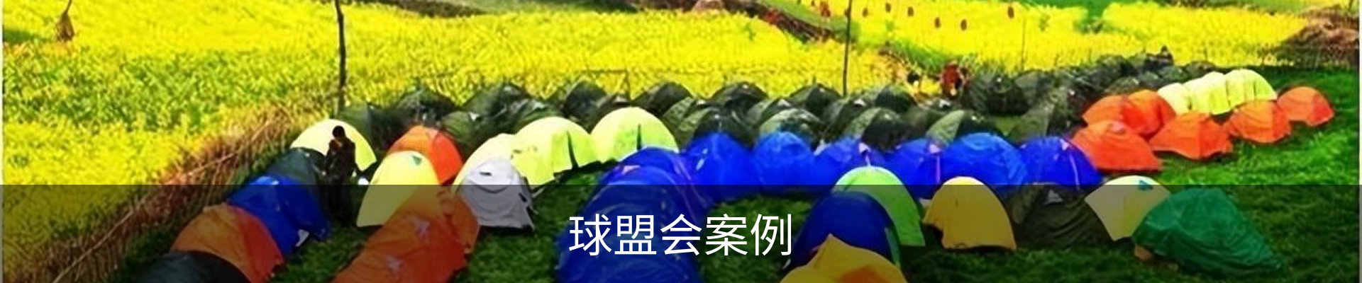 球盟会案例